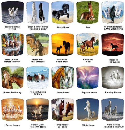 Stallion horses equestrian - horses,