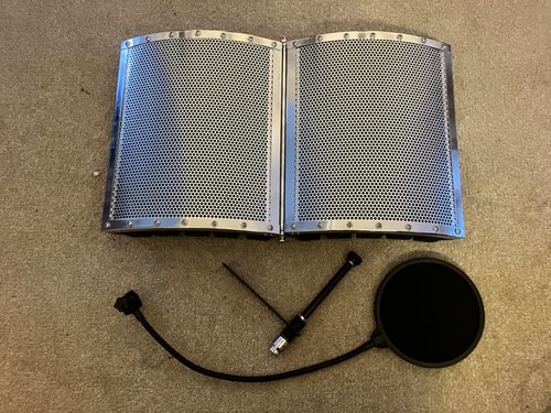 Professional vocal reflection - professional,