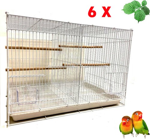 Lot aviary canary budgie - aviary,