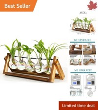 Retro Plant Terrarium