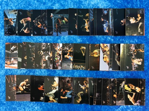 Wwf mercy wrestling single - mercy,