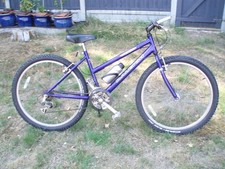 Ladies Raleigh 18 speed Mtb