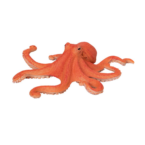 Octopus wild zoo animals play - octopus,