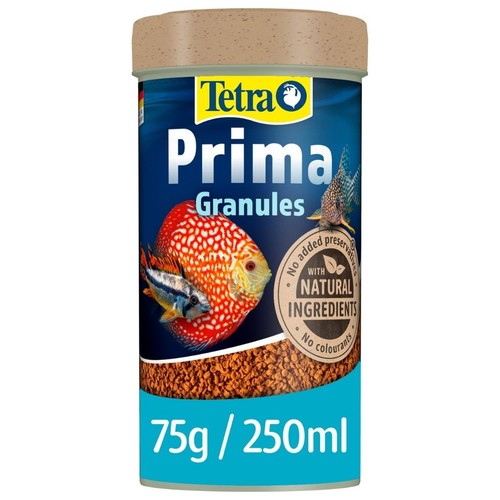 Tetra prima discus - tetra,