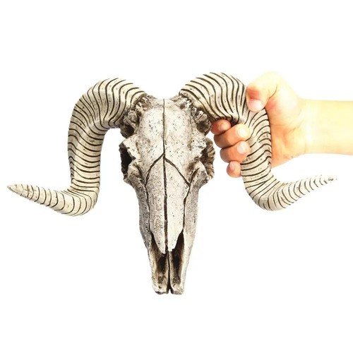 Bighorn sheep ram - sheep, 3d