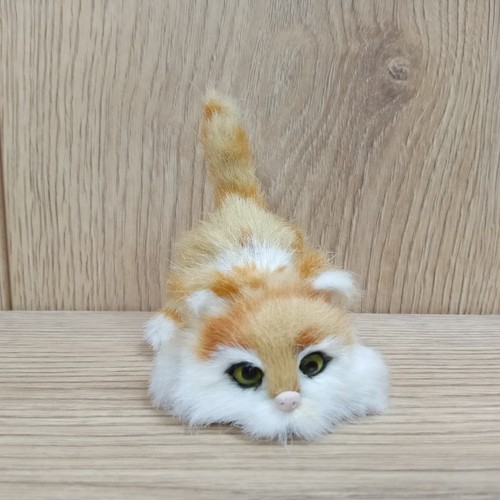 Realistic ginger white cat - realistic,