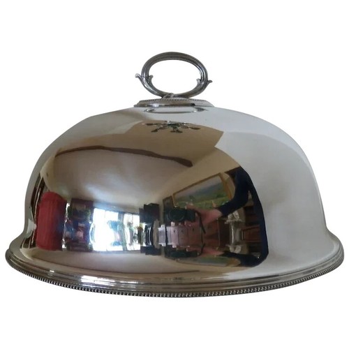 Silver plate meat food - silver, meat/food