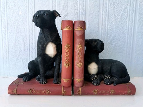 Staffordshire bull terrier - staffordshire,