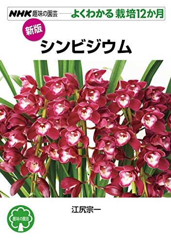 New edition cymbidium nhk - edition, (nhk