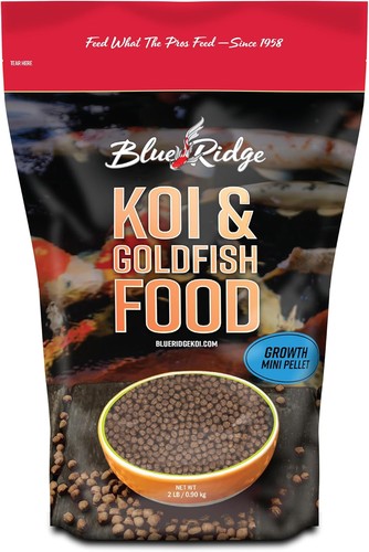 Blue ridge koi - blue,