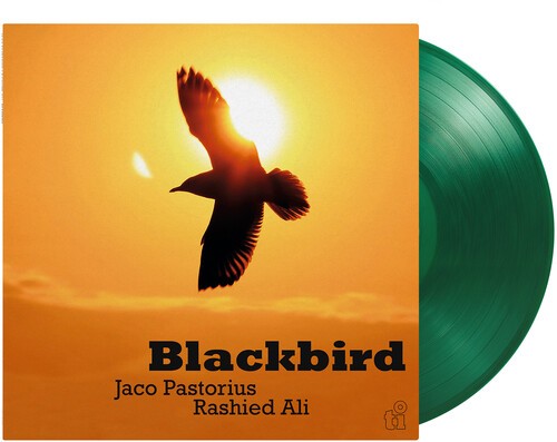 Jaco pastorius blackbird - jaco,