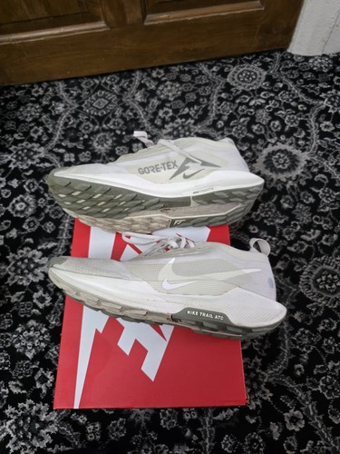 Mens nike pegasus - nike,