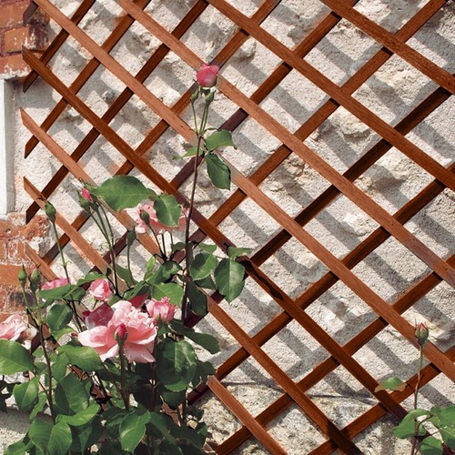 Garden trellis wooden - garden,