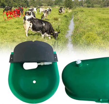 Animals Feeder Cow Sheep Goat