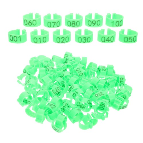 100 pcs pigeon - 100,