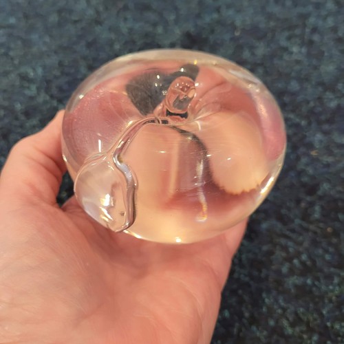 Clear glass apple paperweight - glass,