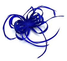 Ladies Feather Beak Clip