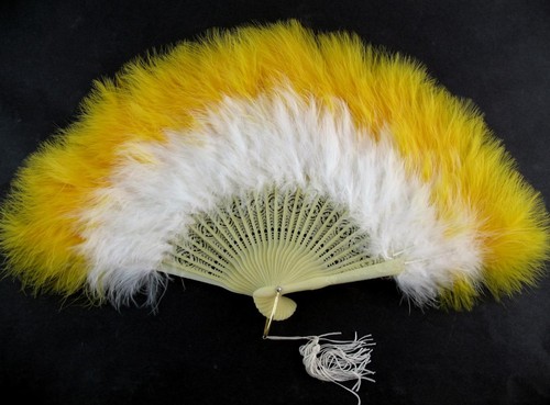 Vintage feather hand - held, fan