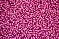 10g Miyuki Japanese Seed Beads