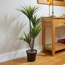 Artificial Dragon Tree Plant