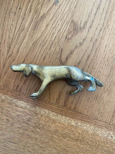 Irish red setter dog brass - red,