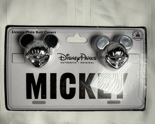 Disney parks fan - disney, mickey