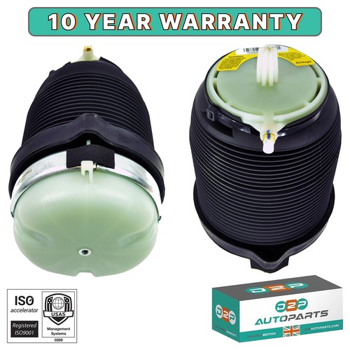 Rear air ride spring - air,