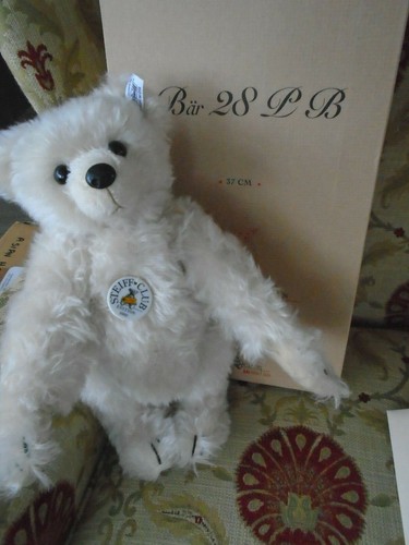 Steiff club bear - club, pb