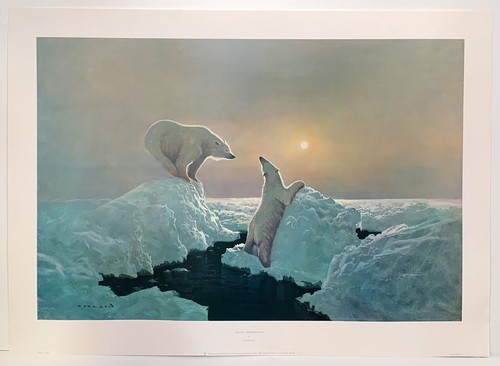 Polar rendezvous by gerald - polar,