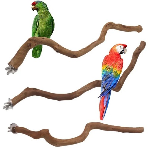 Parrot stand natural bird - stand,