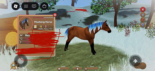 Mustang hore bay island - mustang,