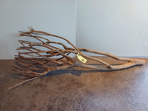 Talawa wood 50cm specific - -,