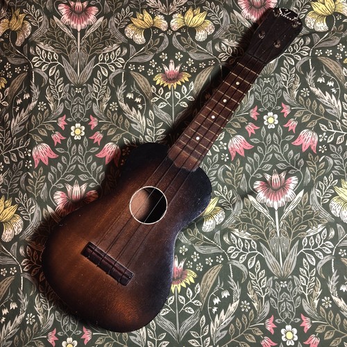 Vintage 1960 silvertone - vintage, 1960’s