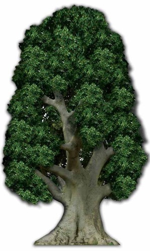 Large tree huge cardboard - tree,