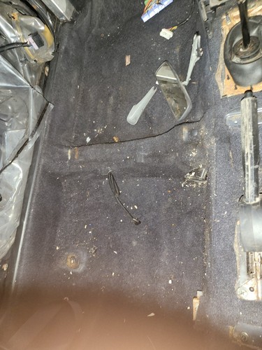 Nissan pulsar gtir - nissan, roof