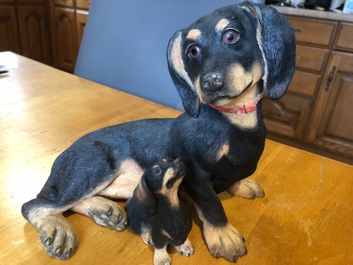 Country artists dachshund - artists,