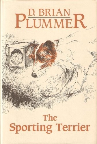 Sporting terrier the plummer - sporting,