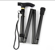 Walking Stick Easy Fold