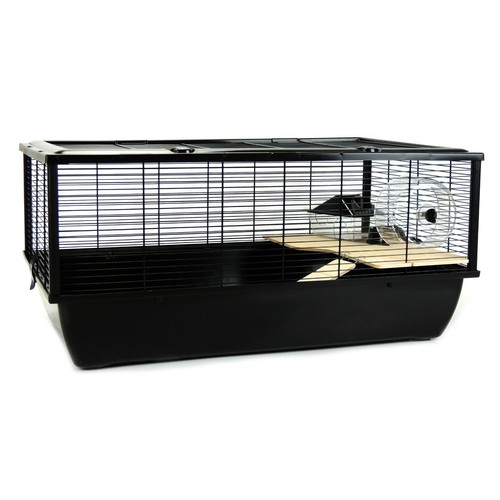 Rat hamster cage single - rat, tier