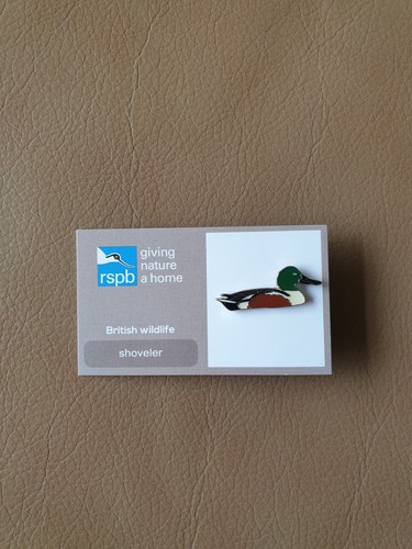 Rspb shoveler enamel pin badge - enamel,