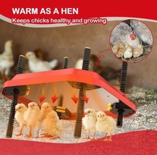 OUYLOAD Heat Lamp for Chicks