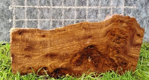 Timber scottish burr elm blank - burr,