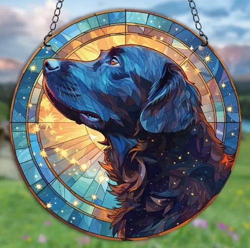 Labrador black dog stars - black,