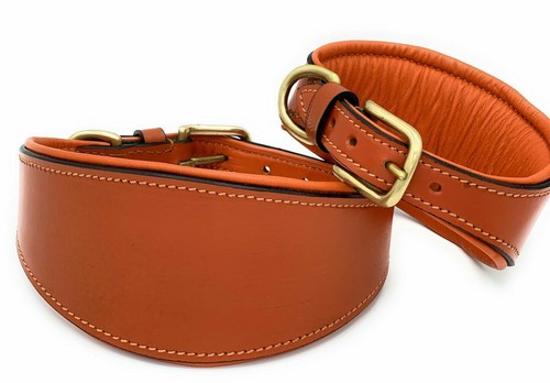 Whippet greyhound leather - greyhound,