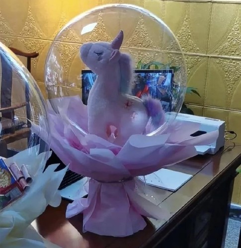 Pack clear bobo - of, balloons