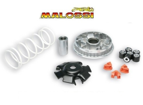 Variator malossi multivar - malossi,