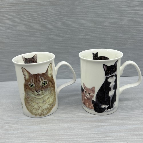 Roy kirkham cat lovers cup - roy,