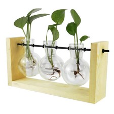 Glass Hydroponic Vase with Wooden Frame Modern Plant Terrarium 25cm Tall