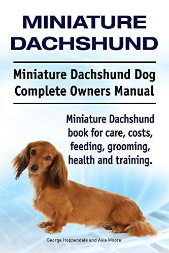 Miniature dachshund - dachshund.,