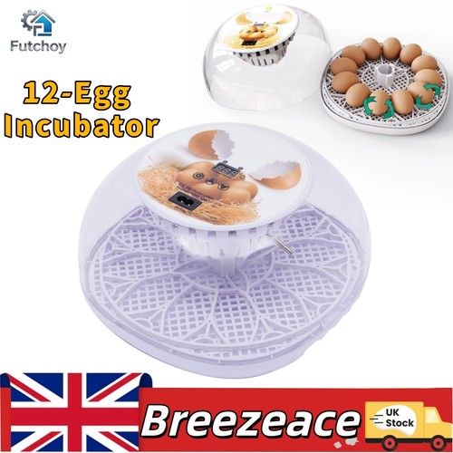 Egg incubator automatic - incubator,